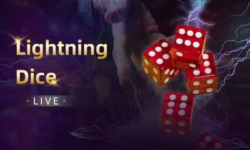 Card Games Game 
